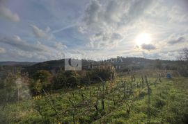 Istra Kašćerga vrhunsko zemljište sa građevinskom dozvolom!, Pazin - Okolica, Terra