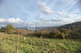 Istra Kašćerga vrhunsko zemljište sa građevinskom dozvolom!, Pazin - Okolica, Terra