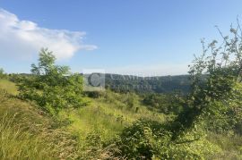 Istra zemljišta, senzacionalan pogled na Motovun!, Pazin - Okolica, Terra