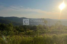 Istra zemljišta, senzacionalan pogled na Motovun!, Pazin - Okolica, Terra