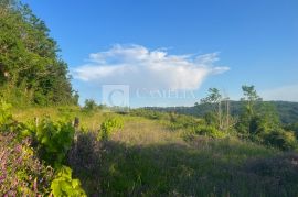 Istra zemljišta, senzacionalan pogled na Motovun!, Pazin - Okolica, Terra