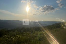 Istra zemljišta, senzacionalan pogled na Motovun!, Pazin - Okolica, Terra