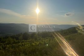 Istra zemljišta, senzacionalan pogled na Motovun!, Pazin - Okolica, Terra