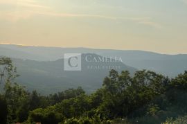 Istra zemljišta, senzacionalan pogled na Motovun!, Pazin - Okolica, Terra