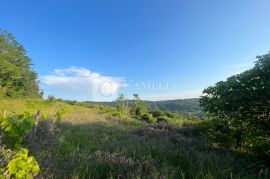 Istra zemljišta, senzacionalan pogled na Motovun!, Pazin - Okolica, Terra