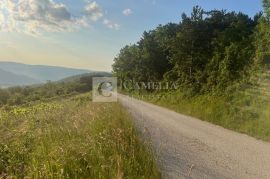 Istra zemljišta, senzacionalan pogled na Motovun!, Pazin - Okolica, Terra