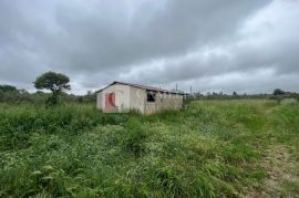 Istra Pula poljoprivredno zemljište sa objektom!, Pula, Terra