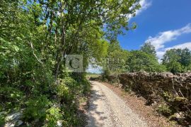 Istra Barban šarmantno zemljište u mirnom selu!, Barban, Land