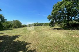 Istra okolica Barbana vrhunsko građevinsko zemljište 6700 m2!, Barban, Terra