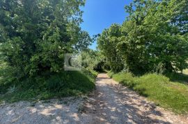 Istra okolica Barbana vrhunsko građevinsko zemljište 6700 m2!, Barban, Terreno