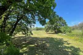 Istra okolica Barbana vrhunsko građevinsko zemljište 6700 m2!, Barban, Terreno