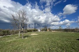 Istra Tinjan 7000 m2 građevinsko zemljište!, Tinjan, Terrain