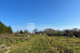 Istra vrhunsko zemljište sa građevinskom dozvolom 7 km od mora!, Marčana, Terra