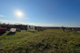 Istra vrhunsko zemljište sa građevinskom dozvolom 7 km od mora!, Marčana, Terra