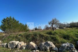 Istra vrhunsko zemljište sa građevinskom dozvolom 7 km od mora!, Marčana, Terra