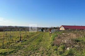 Istra vrhunsko zemljište sa građevinskom dozvolom 7 km od mora!, Marčana, Terra