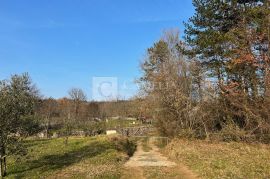 Labin okolica predivno imanje sa pogledom!, Labin, Ev