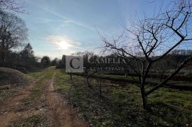 Labin okolica predivno imanje sa pogledom!, Labin, Ev