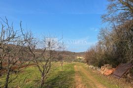 Labin okolica predivno imanje sa pogledom!, Labin, Ev