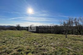 Istra okolica Buzeta građevinsko zemljište 2800m2!, Buzet, Terra