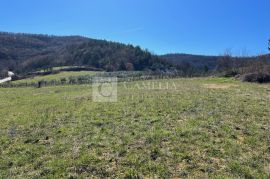 Istra vrhunsko zemljište s pogledom na jezero!, Pazin - Okolica, Terra