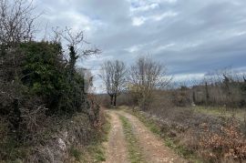 Istra atraktivno zemljište 1940 m2 okolica Barbana!, Barban, Terra