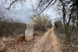 Istra atraktivno zemljište 1940 m2 okolica Barbana!, Barban, Terra