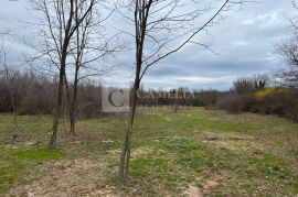 Istra atraktivno zemljište 1940 m2 okolica Barbana!, Barban, Terra