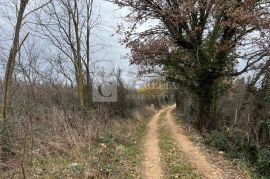 Istra atraktivno zemljište 1940 m2 okolica Barbana!, Barban, Terra