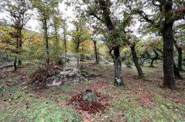 Lovran šarmantan teren u šumi kestena!, Opatija - Okolica, Terrain