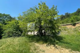 Istra Pićan kamena starina sa senzacionalnim pogledom!, Pićan, Maison