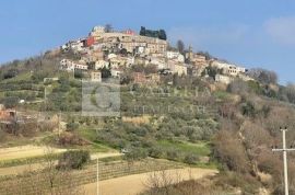 Motovun, samostojeća kuća za adaptaciju sa predivnim pogledom!, Motovun, House