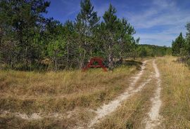 Istra, Kršan, zemljište, 10.000m2, Kršan, Terra