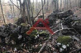 Lukovo dvije vikendice okružene šumom, Vinodolska Općina, Kuća