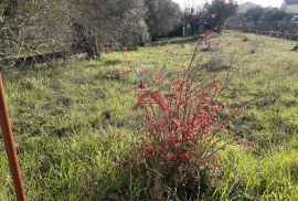 BIBINJE KOD ZADRA- Velika parcela sa kućom, Bibinje, Дом