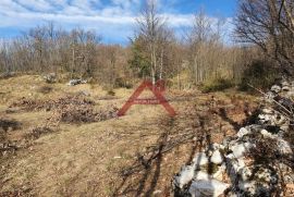 Viškovo, Marčelji gradilište za višestambenu gradnju, Viškovo, Terra