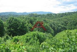 Gornja Voća, 6,7 ha, Parcela u komadu sa 4 ruševna objekta, Donja Voća, Terra