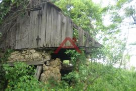 Gornja Voća, 6,7 ha, Parcela u komadu sa 4 ruševna objekta, Donja Voća, Terra