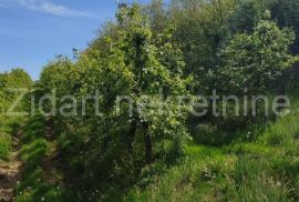 Aranđelovac, Darosava, plac 3,3ha, Terreno