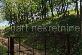 Aranđelovac, Darosava, plac 3,3ha, Terreno