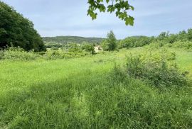 Građevinsko zemljište s objektom na mirnoj lokaciji, Grožnjan,okolica, Istra, Grožnjan, Земля