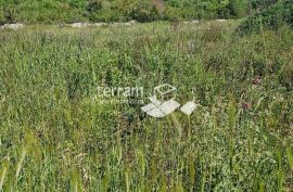 Istra, Pula, Vintijan, građevinsko zemljište 1143m2  #prodaja, Pula, Land