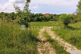 Vodnjan - građevinska parcela u blizini centra mjesta, Vodnjan, Terrain