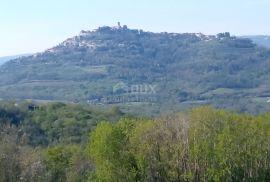 ISTRA, MOTOVUN, OKOLICA - Kompleks građevinskog i poljoprivrednog zemljišta na osami s pogledom na Motovun, Motovun, Land