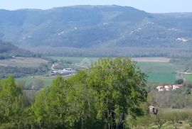 ISTRA, MOTOVUN, OKOLICA - Kompleks građevinskog i poljoprivrednog zemljišta na osami s pogledom na Motovun, Motovun, Land