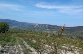 ISTRA, MOTOVUN, OKOLICA - Kompleks građevinskog i poljoprivrednog zemljišta na osami s pogledom na Motovun, Motovun, Land