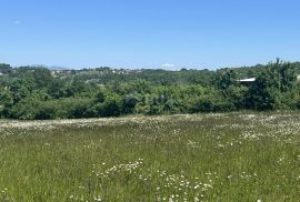 ISTRA,TINJAN - Impozantno investicijsko građevinsko zemljište 7195 m2, Tinjan, Land