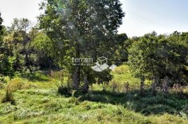 Istra, Svetvinčenat, Štokovci, građevinsko i poljoprivredno zemljište 9270m2  #prodaja, Svetvinčenat, Land