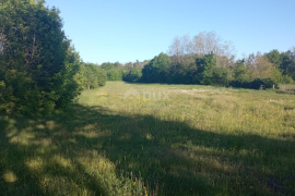 ISTRA,PAZIN - Prostrano građevinsko zemljište nedaleko centra grada, Pazin, Γη