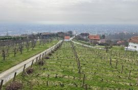 Slavonski Brod, Famiglia